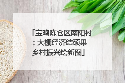 宝鸡陈仓区南阳村：大棚经济结硕果 乡村振兴绘新图