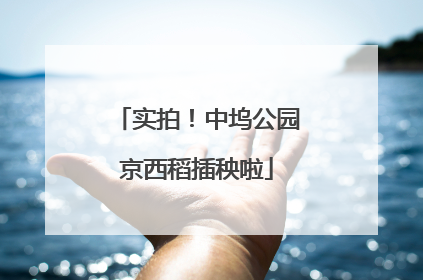 实拍！中坞公园京西稻插秧啦