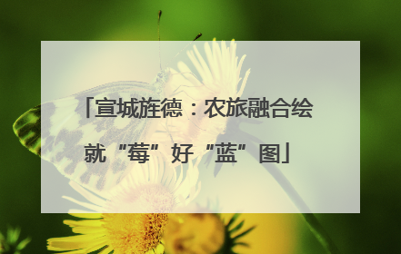 宣城旌德：农旅融合绘就“莓”好“蓝”图