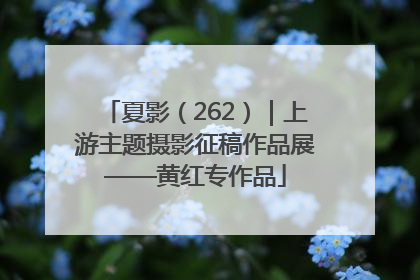 夏影（262）｜上游主题摄影征稿作品展——黄红专作品