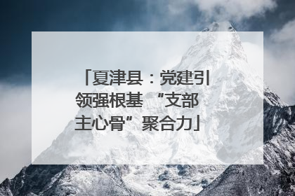 夏津县：党建引领强根基 “支部主心骨”聚合力