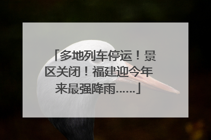 多地列车停运！景区关闭！福建迎今年来最强降雨……