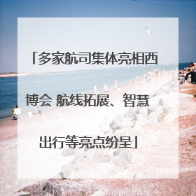多家航司集体亮相西博会 航线拓展、智慧出行等亮点纷呈