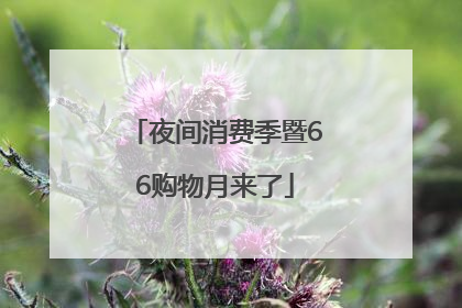夜间消费季暨66购物月来了