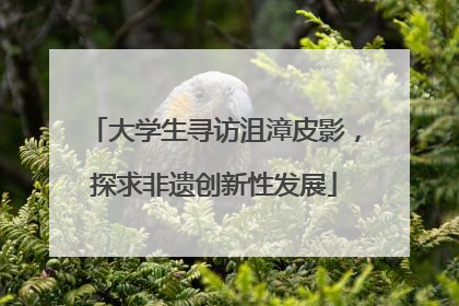 大学生寻访沮漳皮影，探求非遗创新性发展