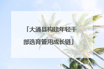 大通县构建年轻干部选育管用成长链
