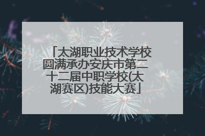 太湖职业技术学校圆满承办安庆市第二十二届中职学校(太湖赛区)技能大赛