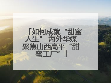 如何成就“甜蜜人生” 海外华媒聚焦山西高平“甜蜜工厂”