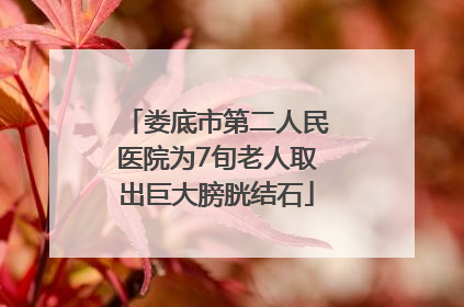 娄底市第二人民医院为7旬老人取出巨大膀胱结石