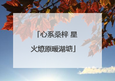 心系桑梓 星火燎原暖湖塘