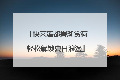 快来莲都碧湖赏荷 轻松解锁夏日浪漫