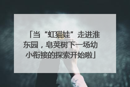 当“虹猫娃”走进淮东园，皂荚树下一场幼小衔接的探索开始啦