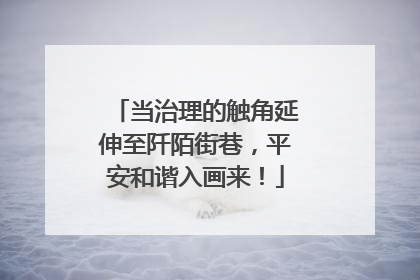 当治理的触角延伸至阡陌街巷，平安和谐入画来！