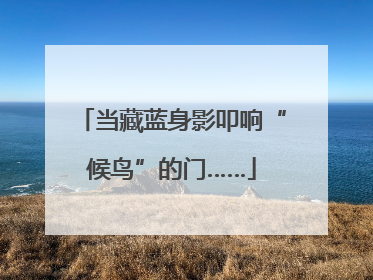 当藏蓝身影叩响“候鸟”的门……