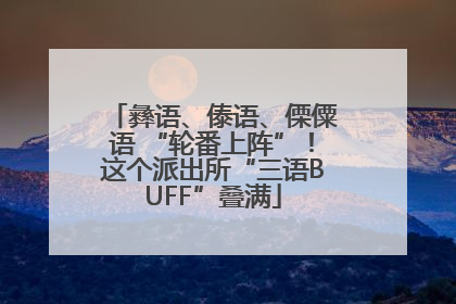 彝语、傣语、傈僳语 “轮番上阵”！这个派出所“三语BUFF”叠满