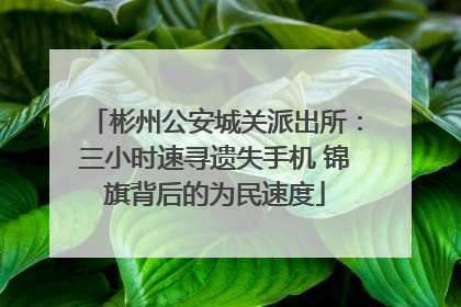 彬州公安城关派出所：三小时速寻遗失手机 锦旗背后的为民速度