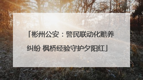 彬州公安：警民联动化赡养纠纷 枫桥经验守护夕阳红
