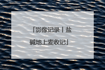 影像记录丨盐碱地上麦收记