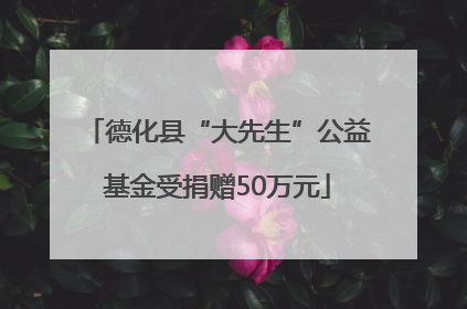德化县“大先生”公益基金受捐赠50万元