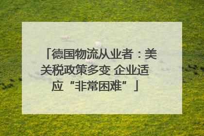 德国物流从业者：美关税政策多变 企业适应“非常困难”