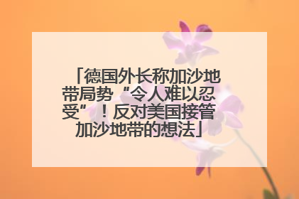 德国外长称加沙地带局势“令人难以忍受”！反对美国接管加沙地带的想法