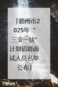 德州市2025年“三支一扶”计划招募面试人员名单公布