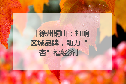 徐州铜山：打响区域品牌，助力“杏”福经济