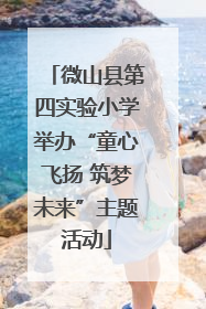 微山县第四实验小学举办“童心飞扬 筑梦未来”主题活动