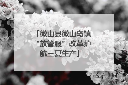 微山县微山岛镇“放管服”改革护航三夏生产
