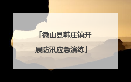 微山县韩庄镇开展防汛应急演练
