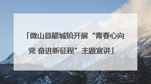 微山县驩城镇开展“青春心向党 奋进新征程”主题宣讲