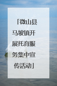 微山县马坡镇开展托育服务集中宣传活动