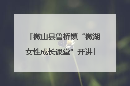 微山县鲁桥镇“微湖女性成长课堂”开讲