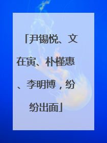 尹锡悦、文在寅、朴槿惠、李明博，纷纷出面