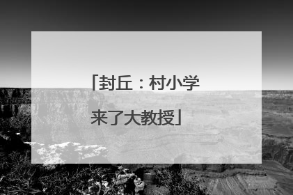 封丘：村小学来了大教授