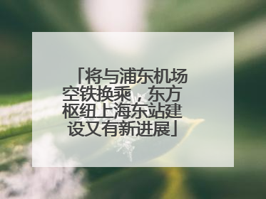 将与浦东机场空铁换乘，东方枢纽上海东站建设又有新进展