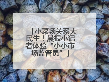 小菜场关系大民生！晨报小记者体验“小小市场监管员”