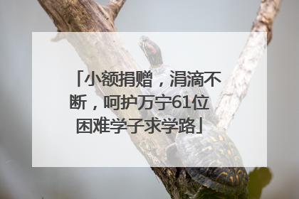 小额捐赠，涓滴不断，呵护万宁61位困难学子求学路