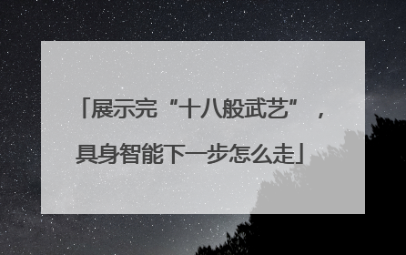 展示完“十八般武艺”，具身智能下一步怎么走
