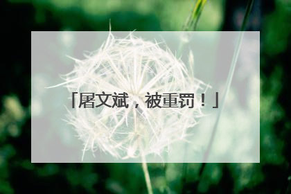 屠文斌，被重罚！