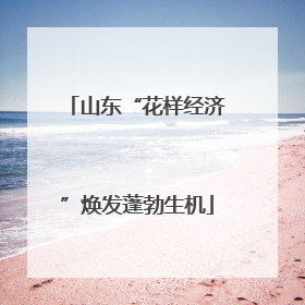 山东“花样经济”焕发蓬勃生机