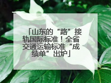 山东的“路”接轨国际标准！全省交通运输标准“成绩单”出炉