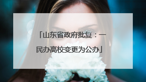 山东省政府批复：一民办高校变更为公办