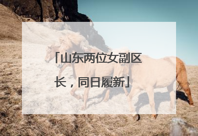 山东两位女副区长，同日履新