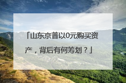 山东京普以0元购买资产，背后有何筹划？