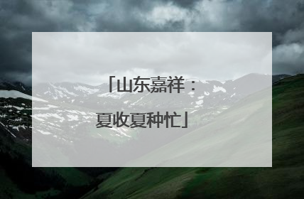 山东嘉祥：夏收夏种忙