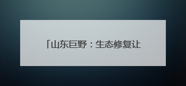 山东巨野：生态修复让废弃矿山变绿水青山
