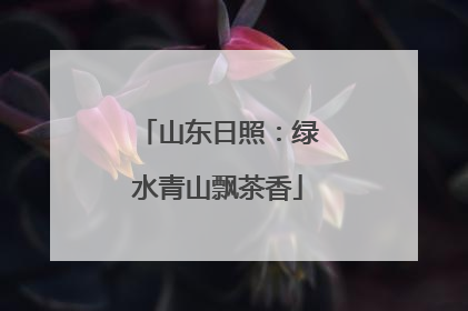 山东日照：绿水青山飘茶香