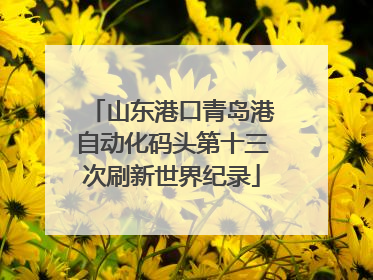 山东港口青岛港自动化码头第十三次刷新世界纪录