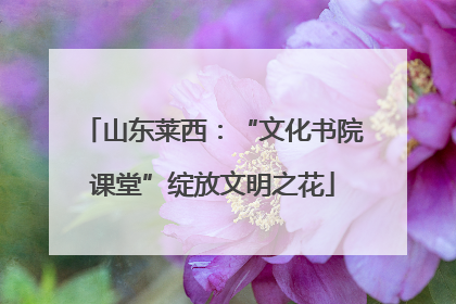 山东莱西：“文化书院课堂”绽放文明之花